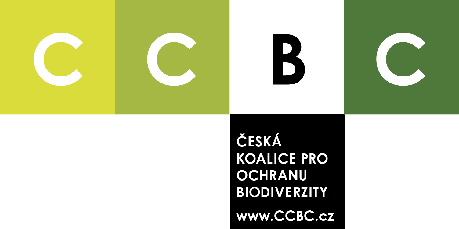 CCBC Logo